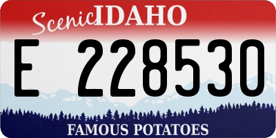 ID license plate E228530