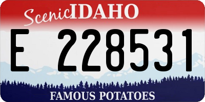 ID license plate E228531