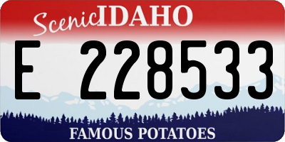ID license plate E228533