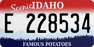ID license plate E228534