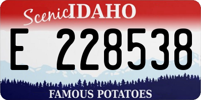 ID license plate E228538