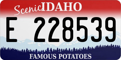 ID license plate E228539