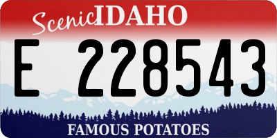 ID license plate E228543