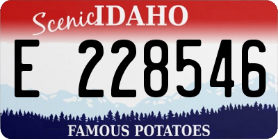 ID license plate E228546