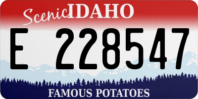 ID license plate E228547