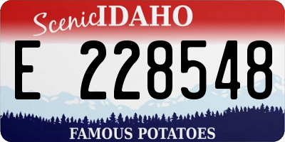 ID license plate E228548