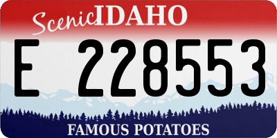 ID license plate E228553