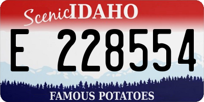 ID license plate E228554