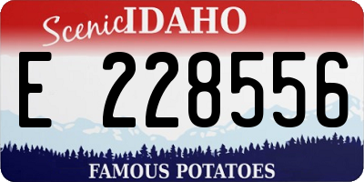 ID license plate E228556