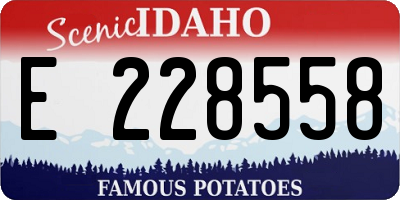 ID license plate E228558
