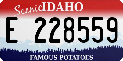 ID license plate E228559
