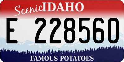 ID license plate E228560