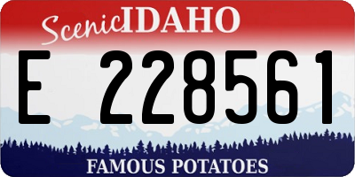ID license plate E228561