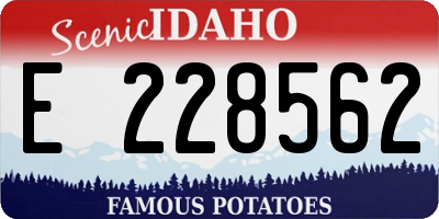 ID license plate E228562