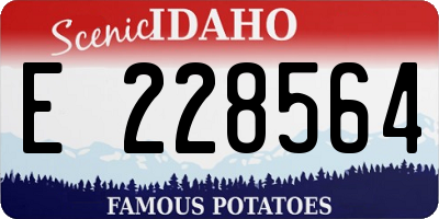 ID license plate E228564