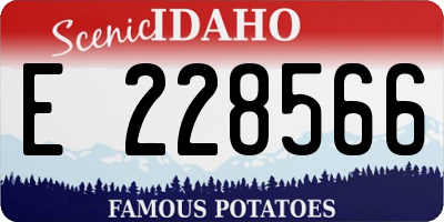 ID license plate E228566