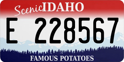 ID license plate E228567