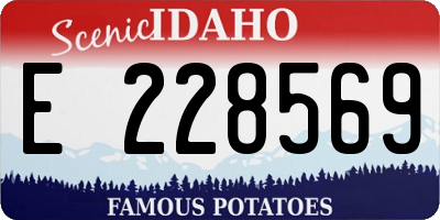 ID license plate E228569