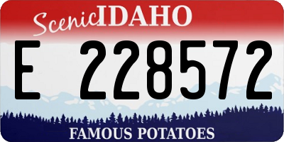 ID license plate E228572