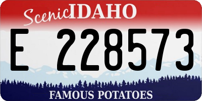 ID license plate E228573
