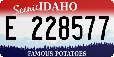 ID license plate E228577