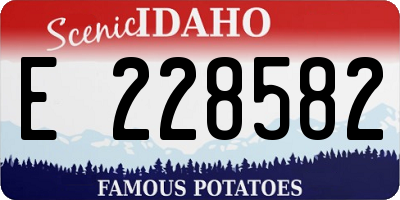 ID license plate E228582