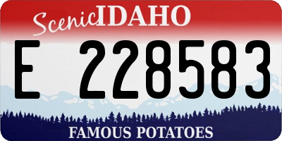 ID license plate E228583