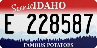 ID license plate E228587