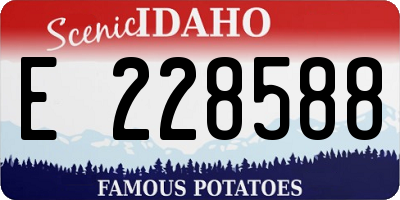 ID license plate E228588