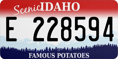 ID license plate E228594