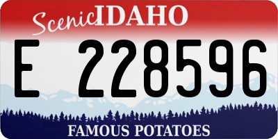 ID license plate E228596