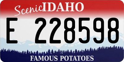 ID license plate E228598