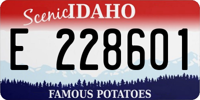 ID license plate E228601