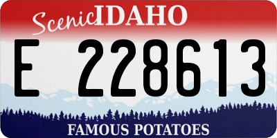 ID license plate E228613