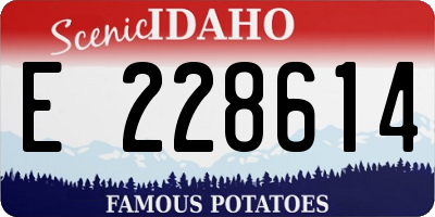 ID license plate E228614