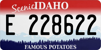 ID license plate E228622