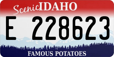 ID license plate E228623