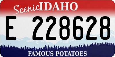 ID license plate E228628