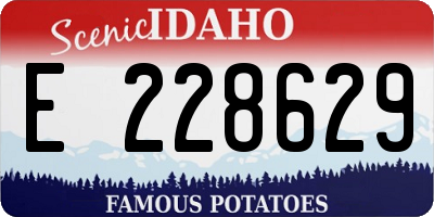 ID license plate E228629