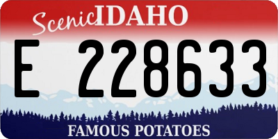 ID license plate E228633