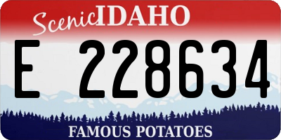 ID license plate E228634