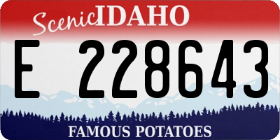 ID license plate E228643