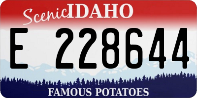 ID license plate E228644