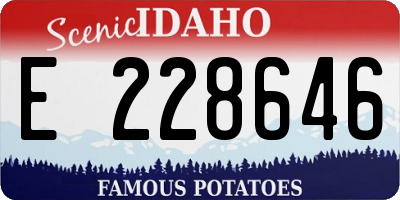 ID license plate E228646