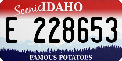 ID license plate E228653