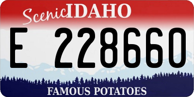 ID license plate E228660