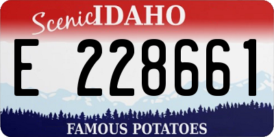 ID license plate E228661