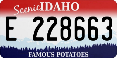 ID license plate E228663