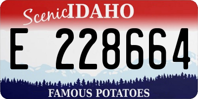 ID license plate E228664