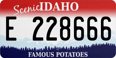 ID license plate E228666